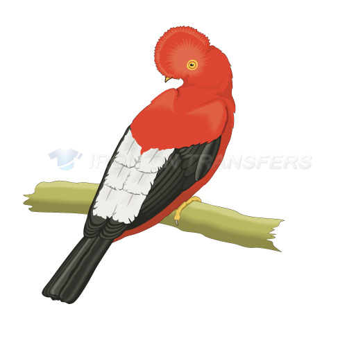 Birds Iron-on Stickers (Heat Transfers)NO.2194